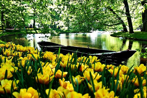 Parque de Flores Keukenhof, Países Bajos