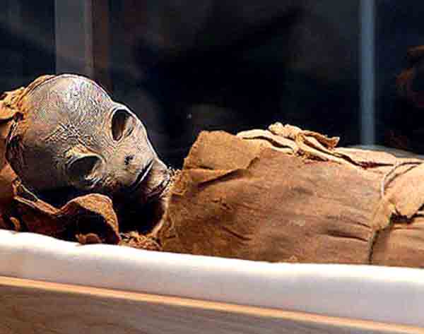 Саркофаг с инопланетной мумией в Турции, Турция
