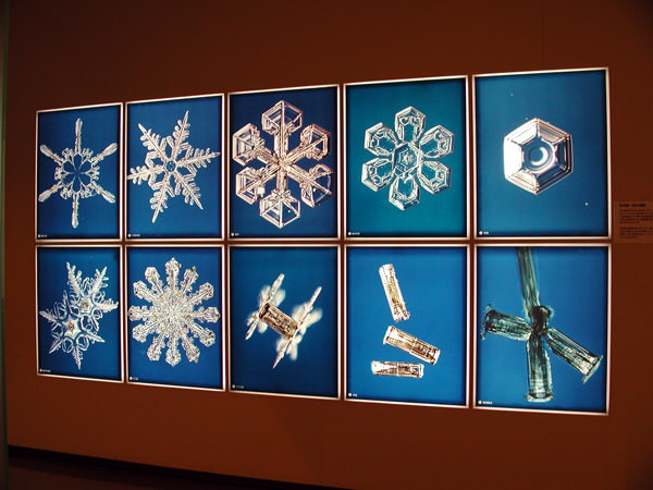 Snowflakes Müzesi, Japonya