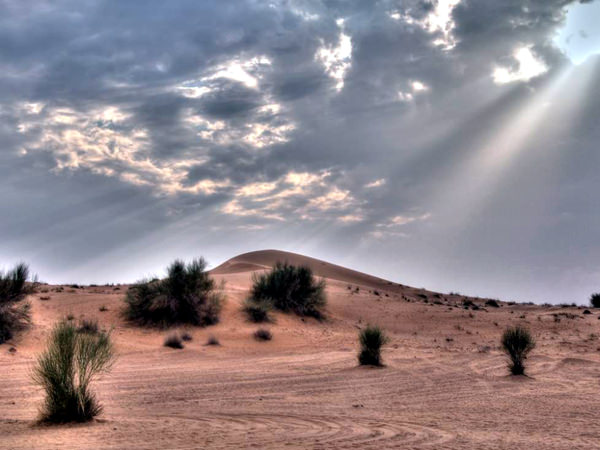 El Desierto de Rub Al-Jali, Arabia Saudita