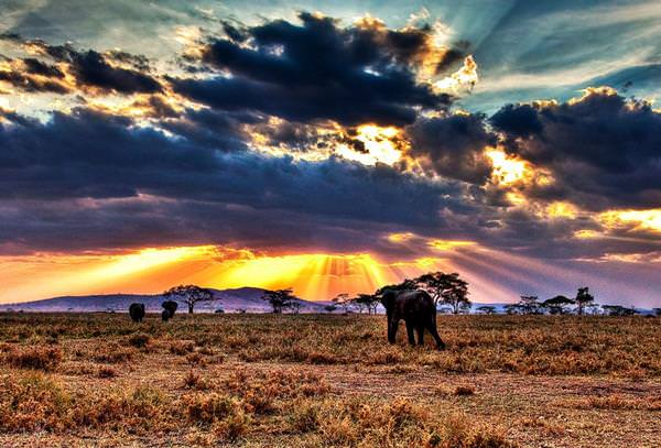 Serengeti Nationalpark, Kenia-Tansania