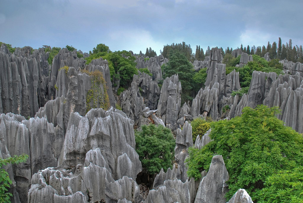 Bosque de Piedras Shilin, China