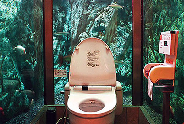 Туалет-аквариум, Япония