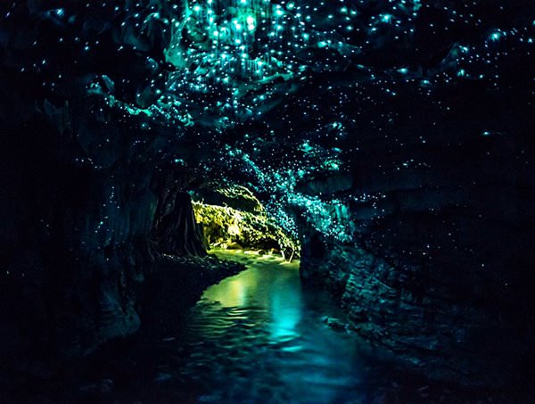 Пещеры Вайтомо, Новая Зеландия