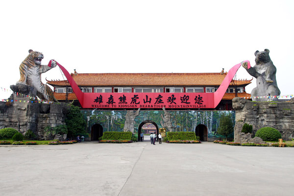 Oso Xiongsen y Tiger Village, China