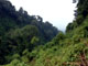 8 из 15 - Кладбище инопланетян в джунглях Руанды, Руанда