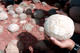 7 out of 15 - Bull Island Balls, Azerbaijan