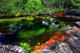 13 out of 15 - Cano Cristales, Colombia