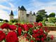 11 из 15 - Замок Риво, Франция