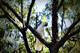 10 из 14 - Национальный парк Какаду, Австралия