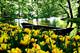 12 из 15 - Парк цветов Кекенхоф, Нидерланды