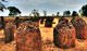 3  de cada 15 - Senegambia Stone Circles, Gambia