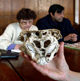 12 из 15 - Родопский череп, Болгария