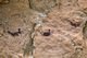 15 из 15 - Пещера Пловцов, Египет