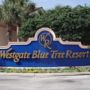 Westgate Blue Tree