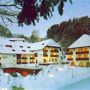 Berghotel Schwarzwaldblick-Triberg