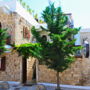 Cretan Villa
