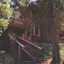 A Teton Tree House