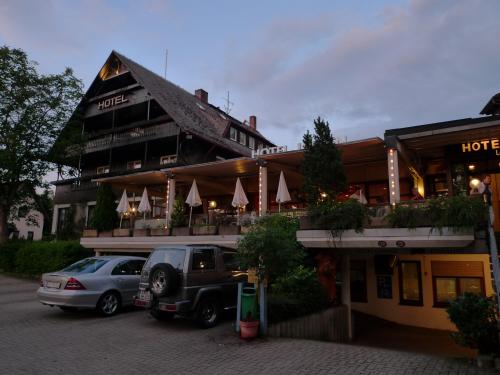 Отель Hotel Schwär