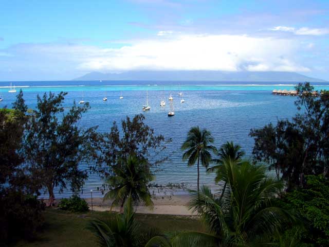 Polynesia photo