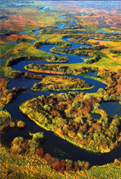 Berezina river
