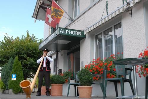 Фото отеля Hotel Alphorn, Interlaken