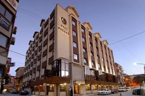 Фото отеля Selcuk Hotel, Konya