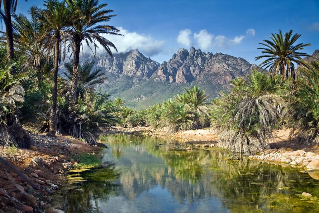 Jemen Socotra-island-nobo164-2
