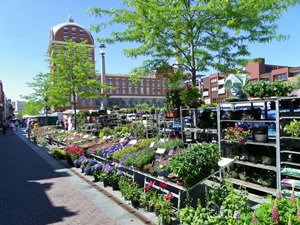 dordrecht markets