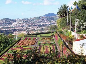 Botanical Gardens above Funchal, Madeira