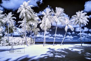 Beach Club in IR