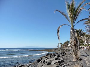 omgive hånd dominere Playa de las Americas Travel Guide | Things To See In Playa de las Americas  - Sightseeings & Interesting Places