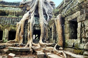 Ta Prohm, Siem Reap, Cambodia