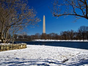 Washington in Winter