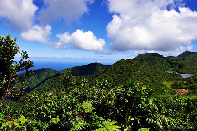 Insel Dominica