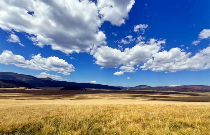 New Mexico