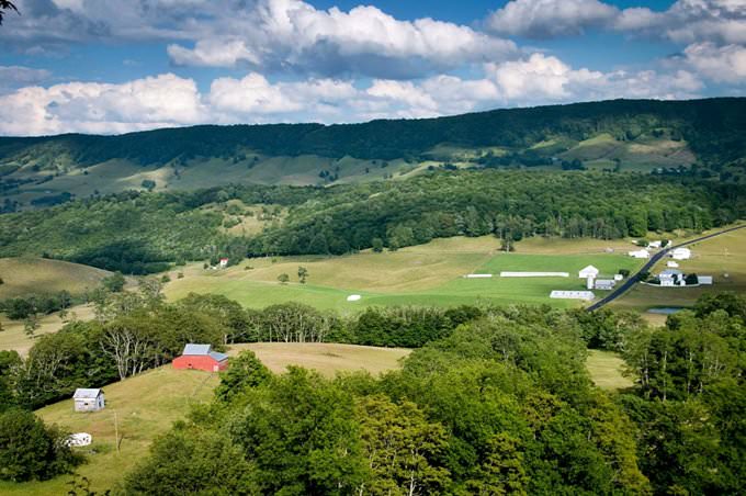 Virginia Virginia