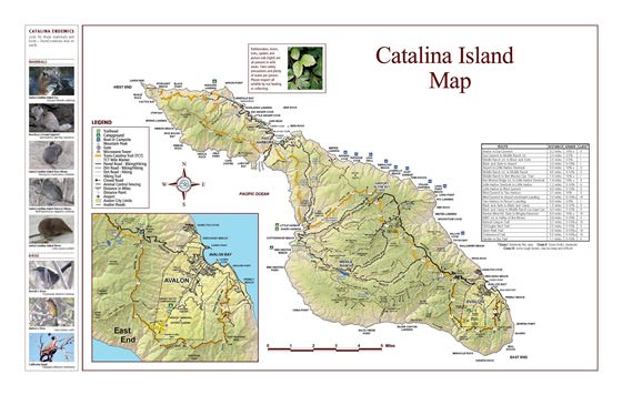 Подробная карта острова Каталина 2