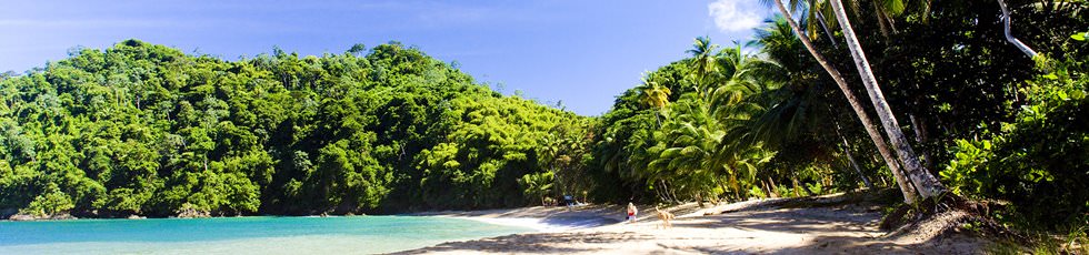Tobago Island