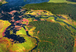Losha river in Belarus