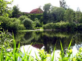 View on the cottage from the other side of the Berezina river