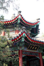 Новый Летний дворец (Summer-Palace) 
