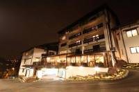 Отель Hotel Classic Inn