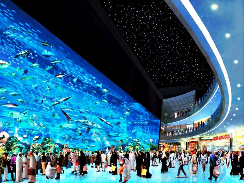 Aquarium | Series 'The coolest largest oceanariums in the world'