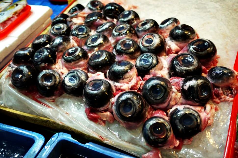 Eye of Tuna in Naha Restaurants | Series 'The most disgusting dishes in the world'