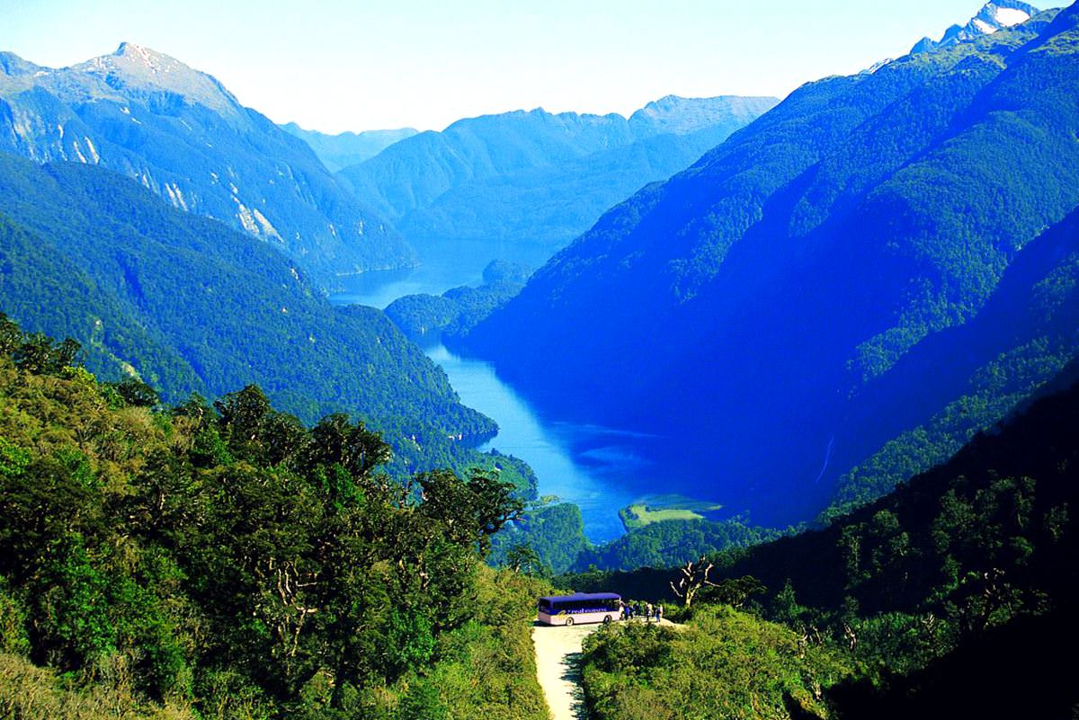 Fiordland National Park New Zealand дайвинг