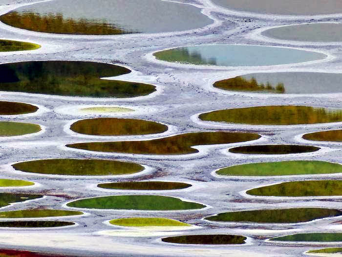 Spotted Lake | Series 'The most surrealistic places of the Earth'