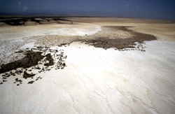 Afar Üçgeni, Cibuti