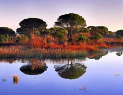 Национальный парк Доньяна, Испания