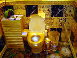 Золотой туалет, Китай